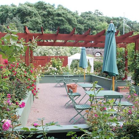 Gasthaus Malistorpets Rosor Bed & Kitchen Varberg Exterior foto